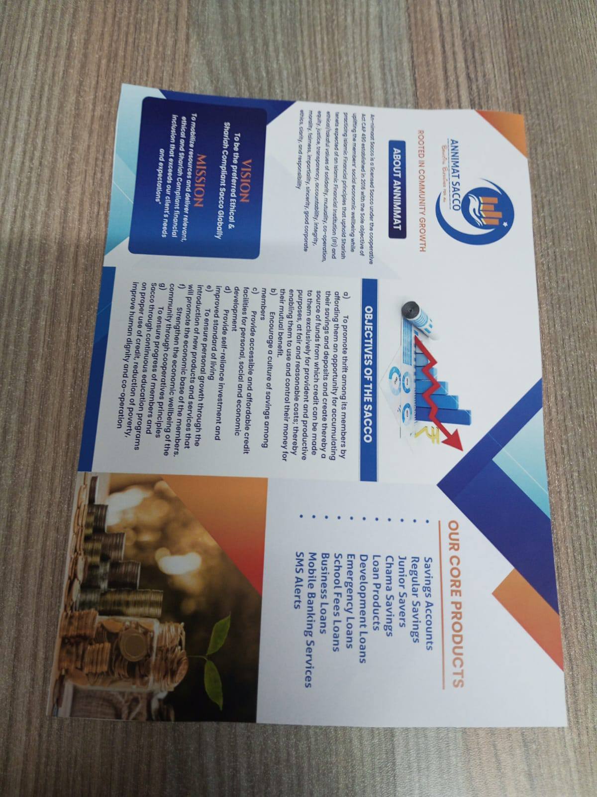 Printed marketing materials